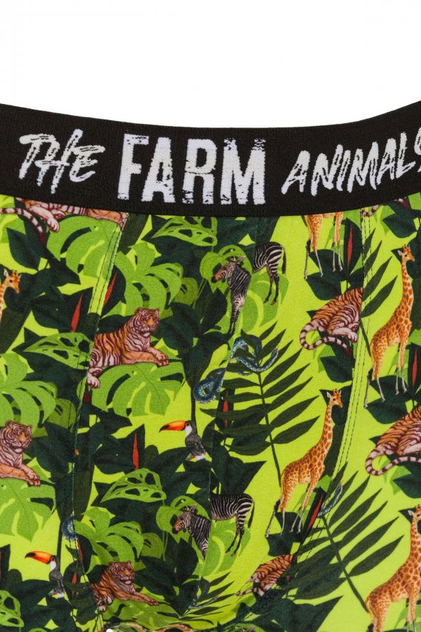 Farm Animals Tropical Desenli Boxer - 3