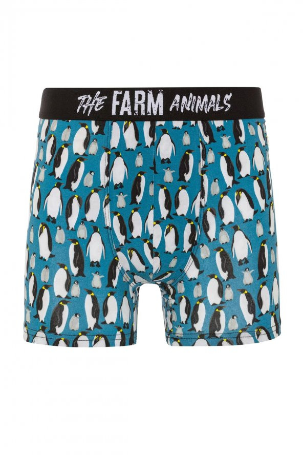 Farm Animals Penguins Desenli Boxer