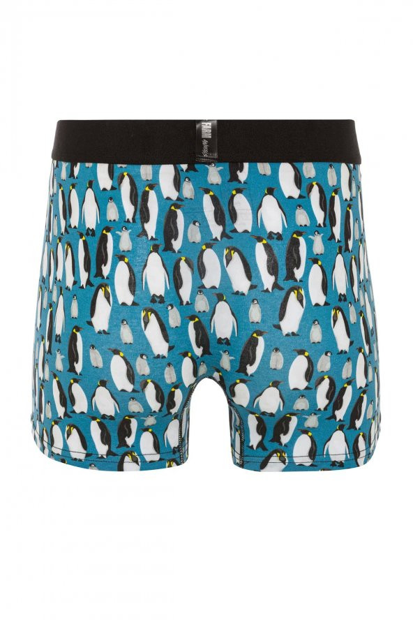 Farm Animals Penguins Desenli Boxer - 2