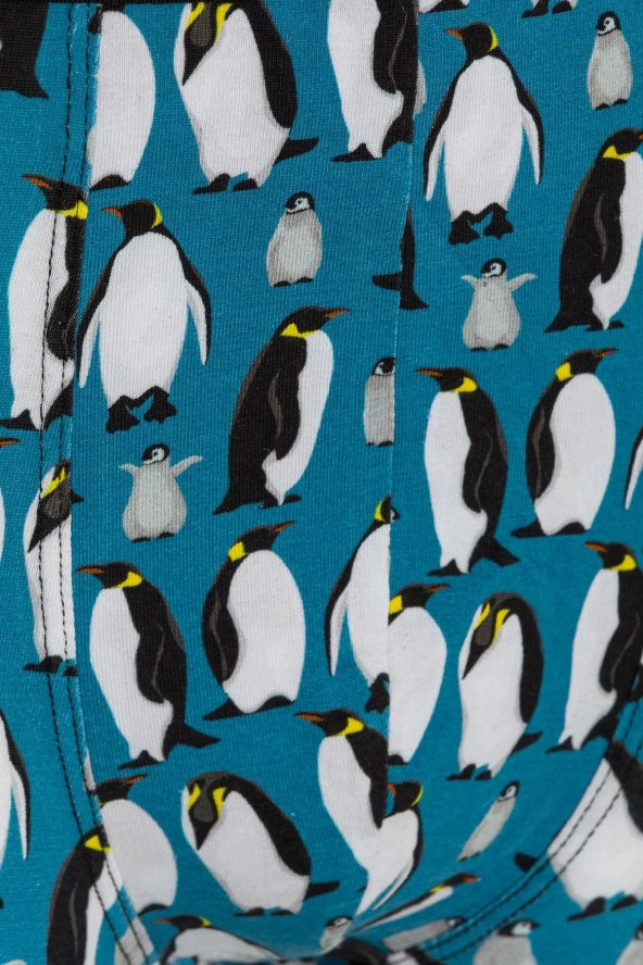 Farm Animals Penguins Desenli Boxer - 4