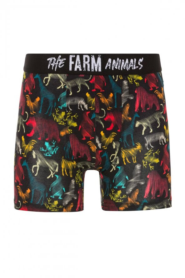 Farm Animals All Animals Desenli Boxer