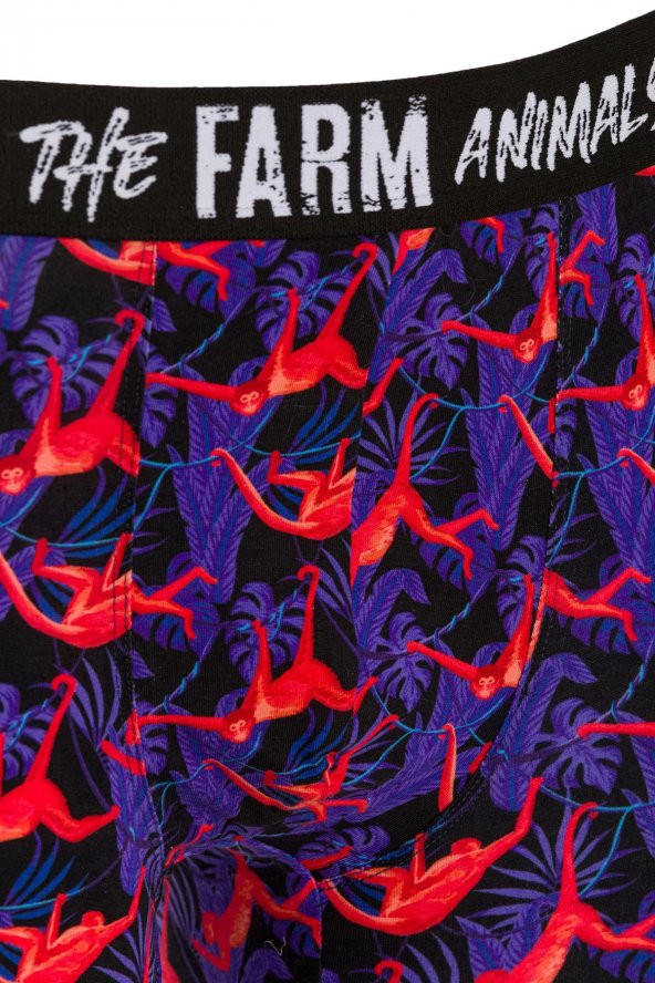 Farm Animals Red Monkey Desenli Boxer - 3