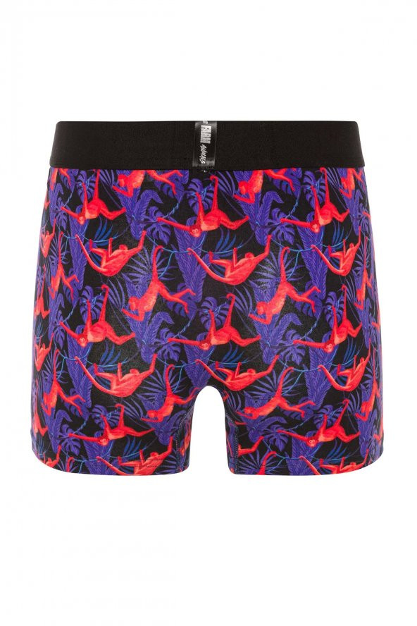 Farm Animals Red Monkey Desenli Boxer - 2