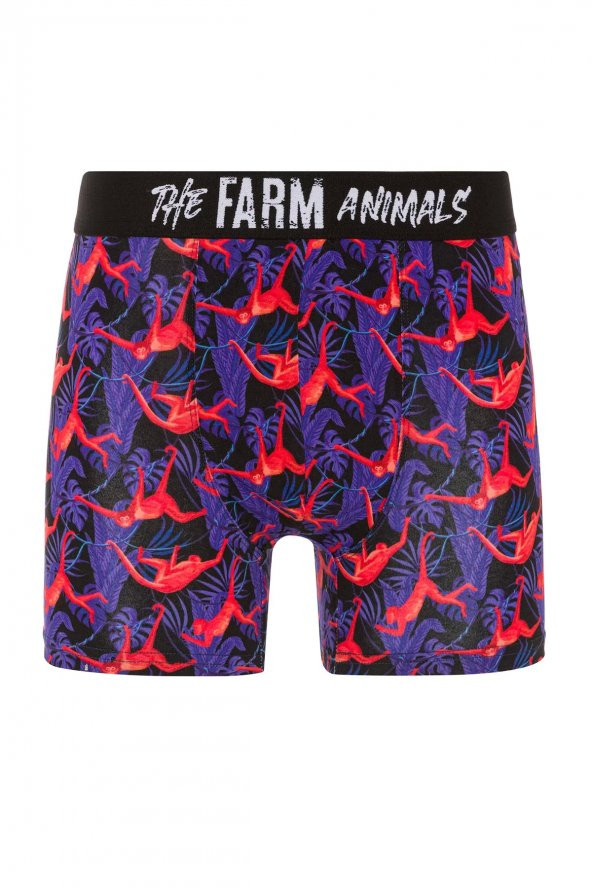 Farm Animals Red Monkey Desenli Boxer