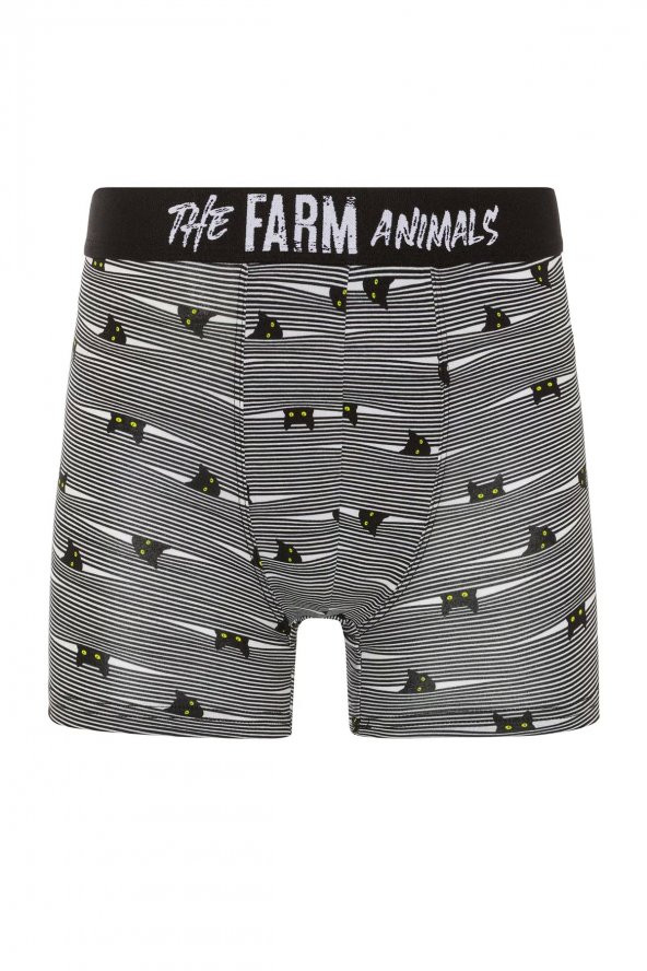 Farm Animals Yellow Eyed Hide N Cat Desenli Boxer