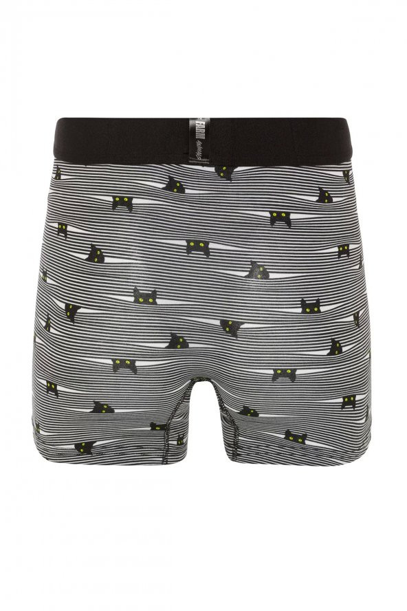 Farm Animals Yellow Eyed Hide N Cat Desenli Boxer - 2