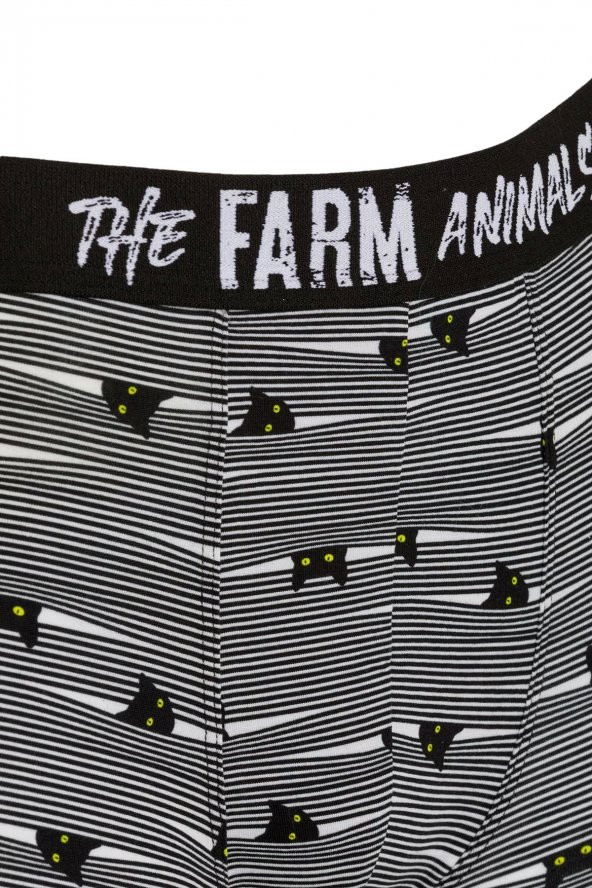 Farm Animals Yellow Eyed Hide N Cat Desenli Boxer - 3