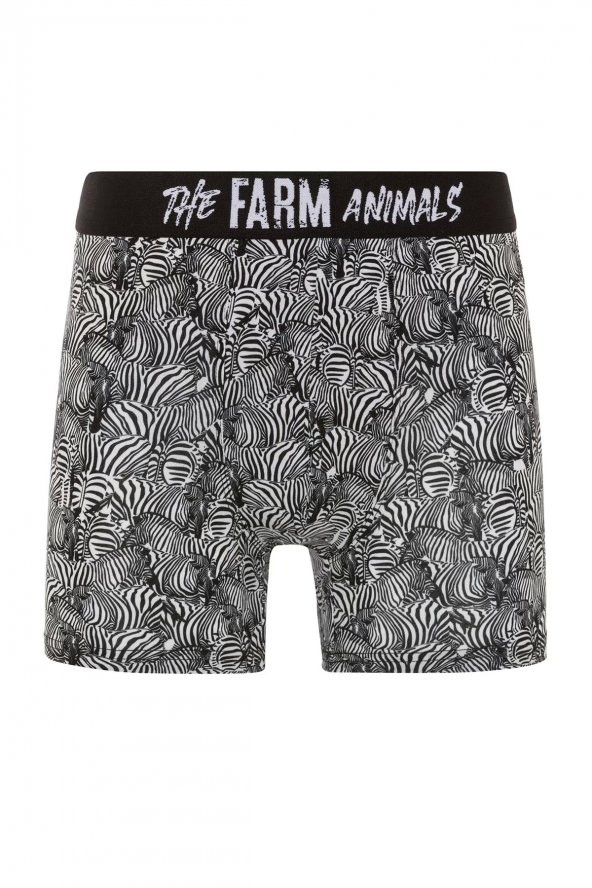 Farm Animals Zebra Desenli Boxer