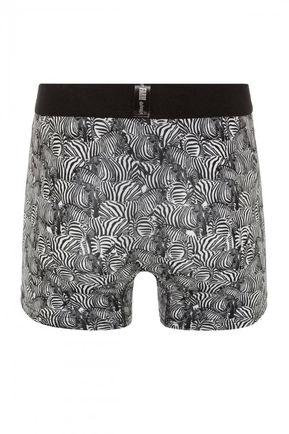 Farm Animals Zebra Desenli Boxer - 2