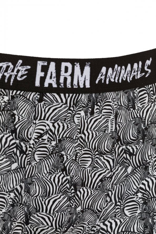 Farm Animals Zebra Desenli Boxer - 3