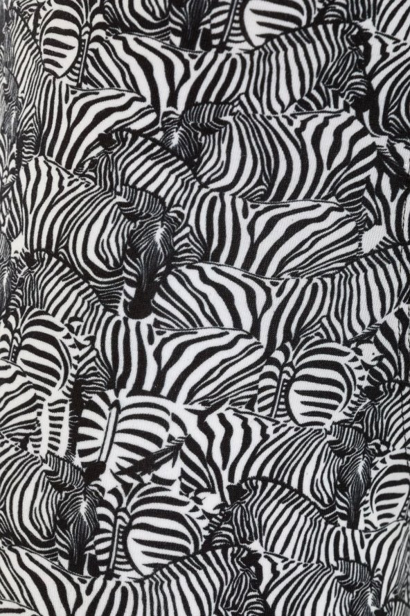 Farm Animals Zebra Desenli Boxer - 4