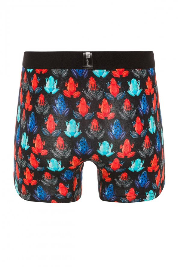 Farm Animals Frogs Desenli Boxer - 2