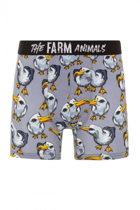 Farm Animals Seagull Desenli Boxer