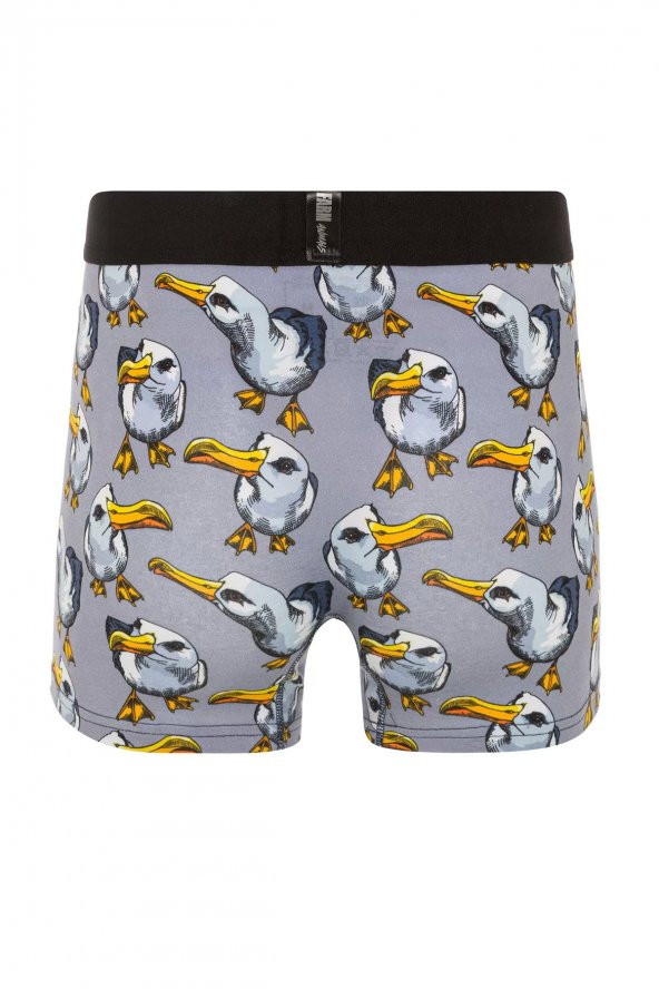 Farm Animals Seagull Desenli Boxer - 2