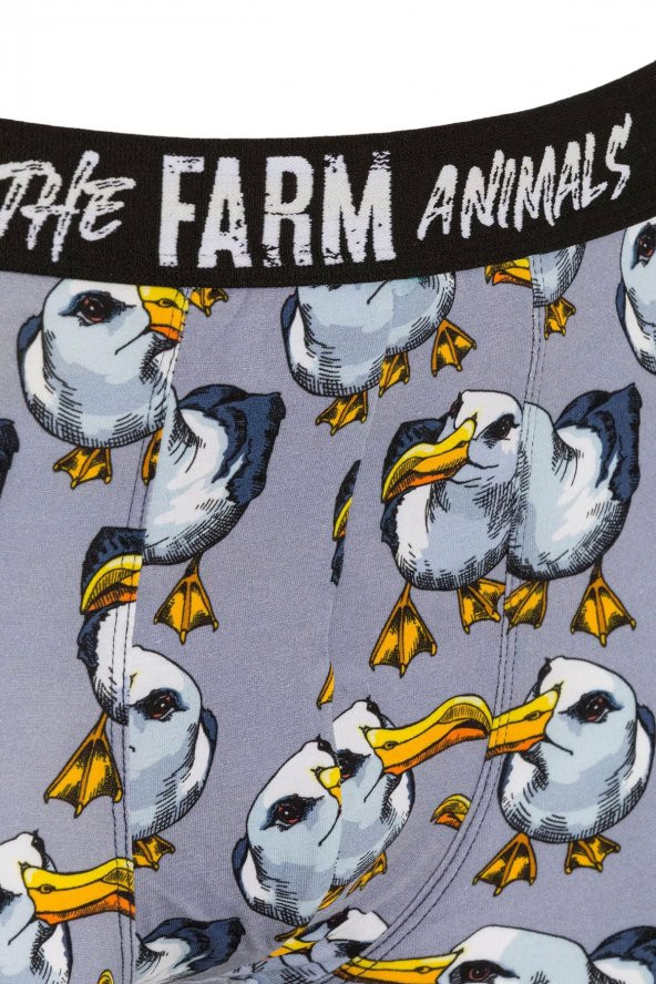 Farm Animals Seagull Desenli Boxer - 3