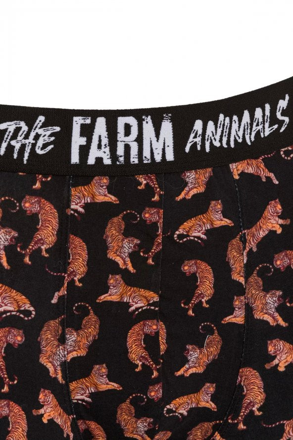 Farm Animals Tigers Desenli Boxer - 3