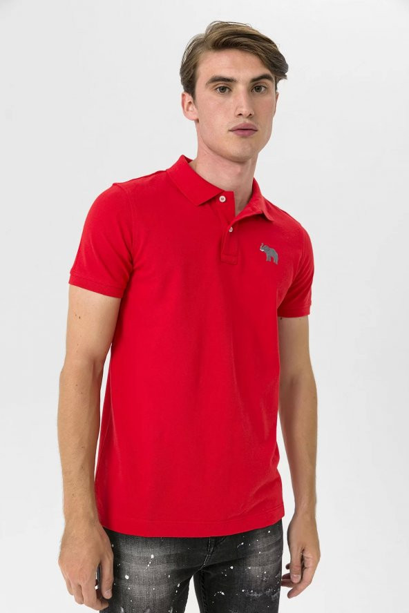 Farm Animals Polo Yaka Fil Nakış Detaylı Erkek T-Shirt - 2