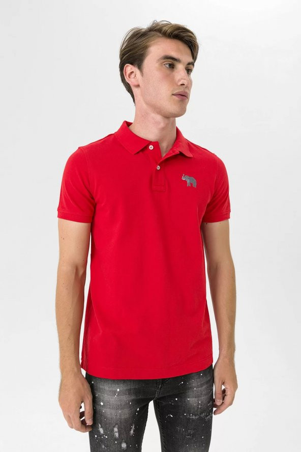 Farm Animals Polo Yaka Fil Nakış Detaylı Erkek T-Shirt - 3