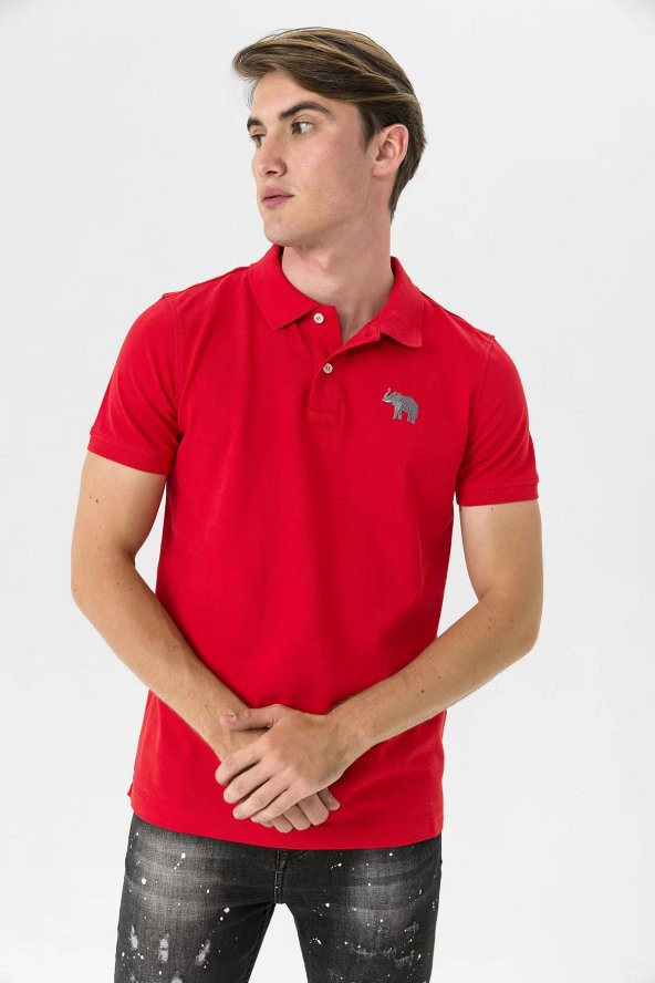 Farm Animals Polo Yaka Fil Nakış Detaylı Erkek T-Shirt - 4