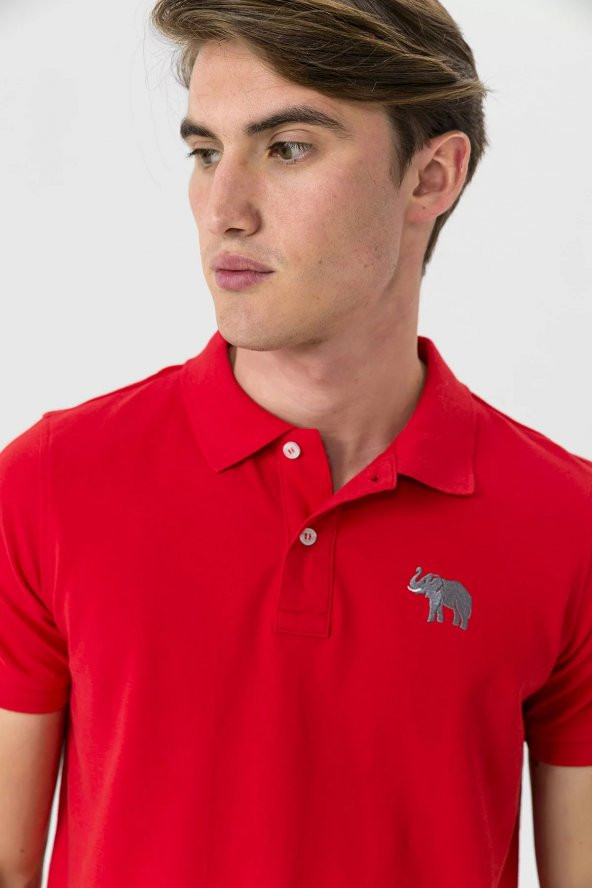 Farm Animals Polo Yaka Fil Nakış Detaylı Erkek T-Shirt - 6