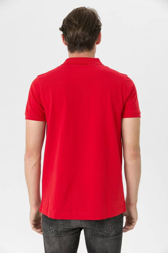 Farm Animals Polo Yaka Fil Nakış Detaylı Erkek T-Shirt - 7