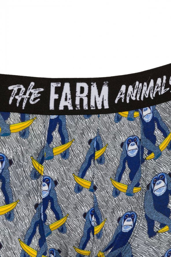 Farm Animals Monkey Banana Bue Desenli Boxer - 3