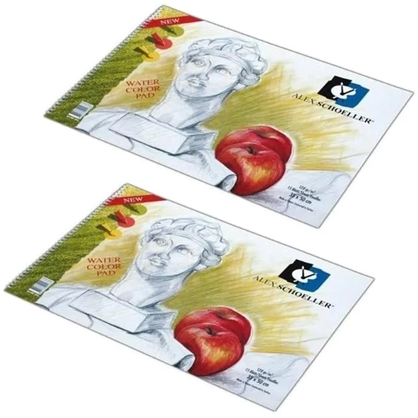 Alex Resim Defteri 50X70 Spr. 120 Gr 20 Yp 2'Lİ ürün görseli 1