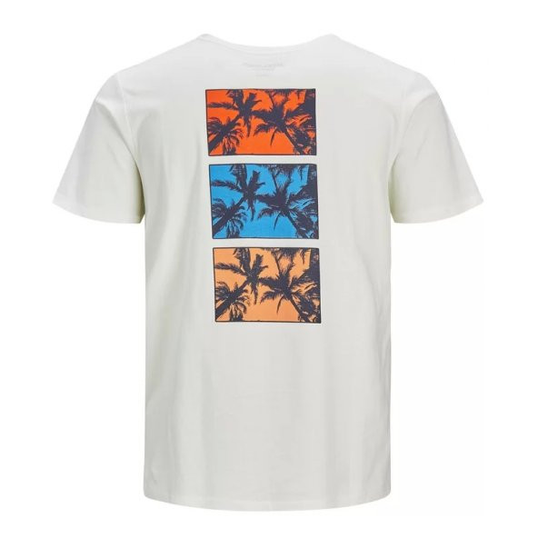 Jack&Jones Jorystays Cloud Erkek T-shirt - 2