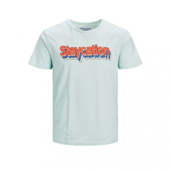 Jack&Jones Jorystays Pale Blue  Erkek T-shirt 12186206