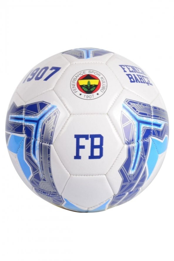 Fenerbahçe Futbol Topu Metafor No 5 482662
