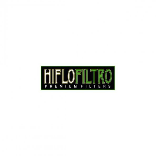 Hiflo Hfa5201Ds 2011-2015 Aprilia SR Max 300 İ.E Hava Filtresi - Resim 3