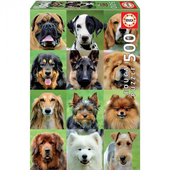 Educa 500 Parçalı Köpekler Puzzle Yapboz Dog College Köpekli Puzzle ve Yapıştırıcısı