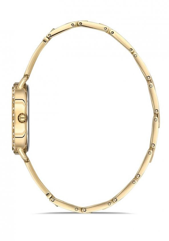 Momentus SW260G-08SG Bayan Kol Saati - 2