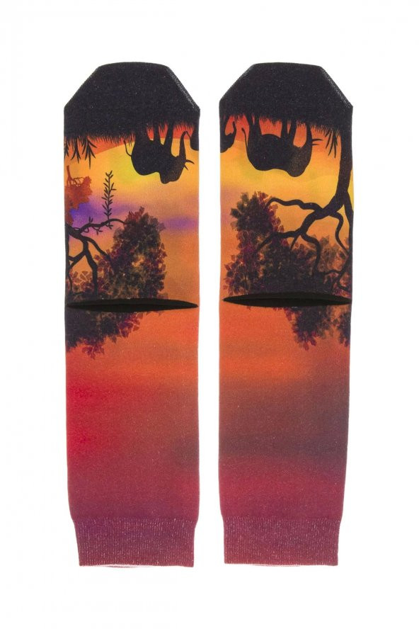 Farm Animals Sunset Desenli Patik Çorap - 2