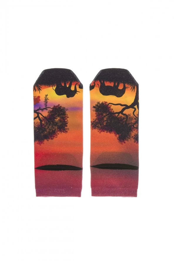 Farm Animals Sunset Desenli Soket Çorap - 2