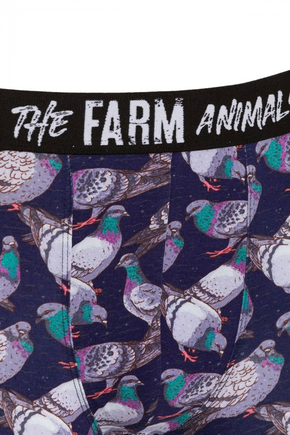 Farm Animals Pigeon Desenli Boxer - 3
