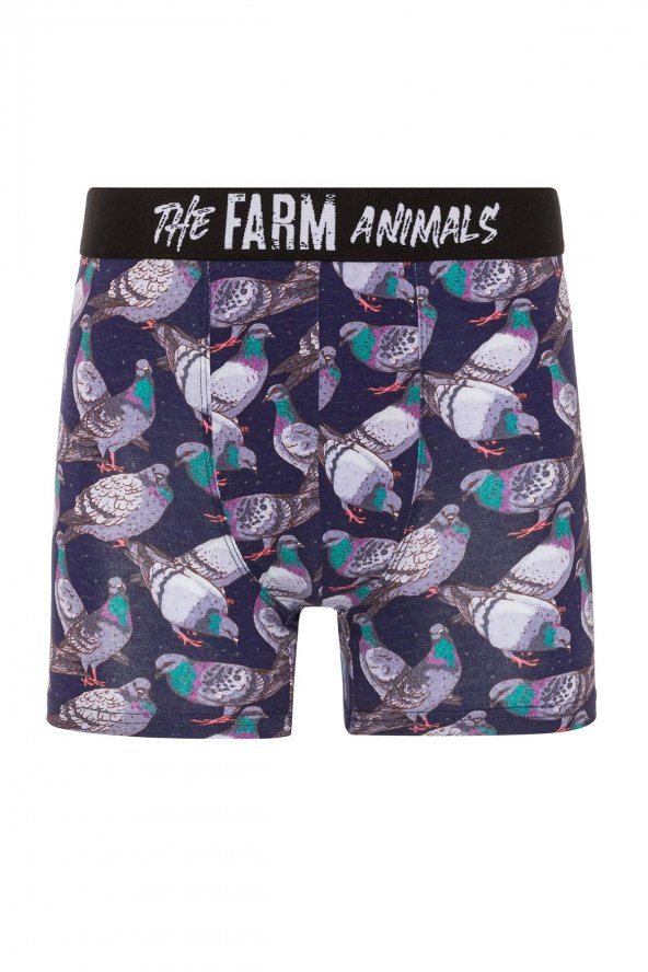 Farm Animals Pigeon Desenli Boxer