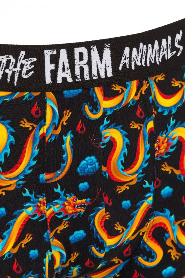 Farm Animals Dragon Desenli Boxer - 3