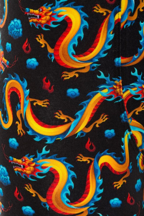 Farm Animals Dragon Desenli Boxer - 4