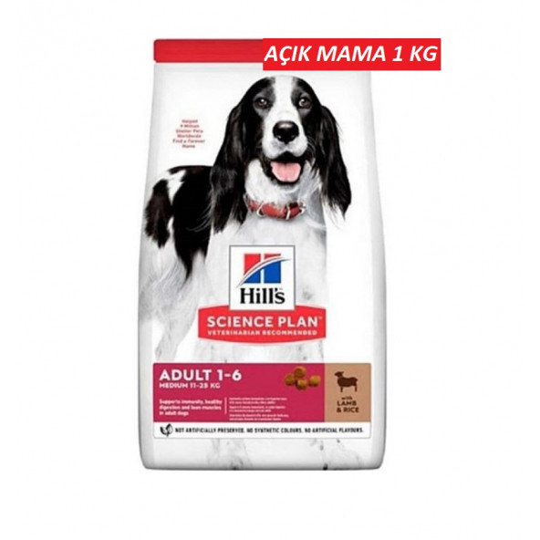 Hill's Medium Lamb Kuzu Etli Orta Irk Yetişkin Köpek Maması 1 KG