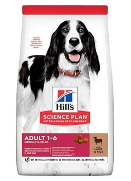 Hill's Medium Lamb Kuzu Etli Orta Irk Yetişkin Köpek Maması 1 KG Açık Mama - 1