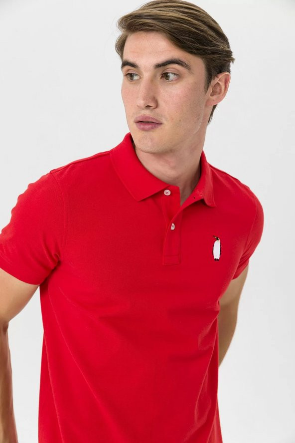 Farm Animals Polo Yaka Penguen Nakış Detaylı Erkek T-shirt - 5