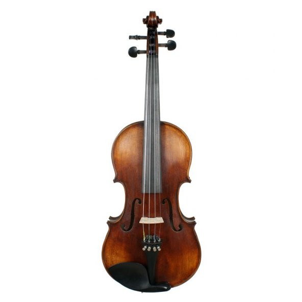 Lichtenberg M800 Profesyonel El Yapımı Keman - Resim 2