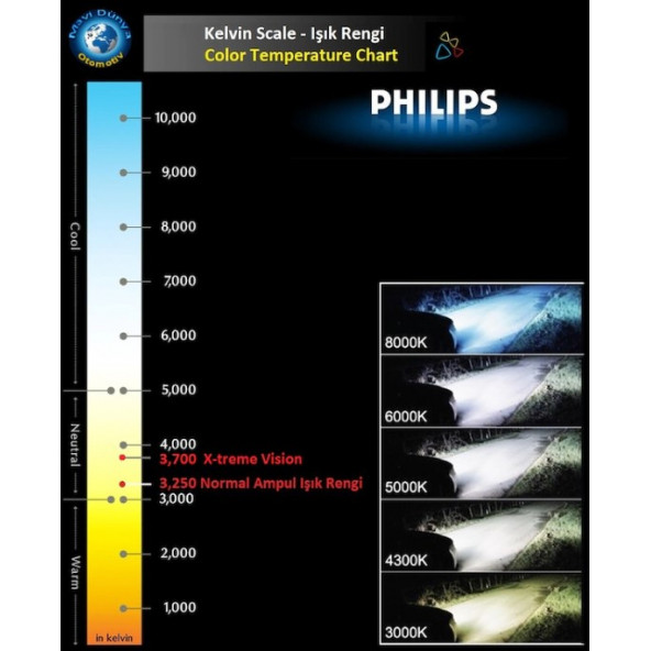 PHILIPS 12V. H1 X-TREME VISION G-FORCE AMPUL SETİ +%130 FAZLA IŞIK, No:12258 XVG, EAN: 8727900355208 - 3