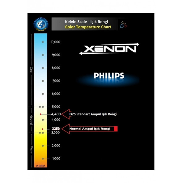 Philips D2S Xenon Standart Ampul 85122 Vis1 Ean- 8727900364910 - 3