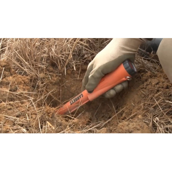 Garrett Pro Pointer At Define, Altın, Metal Dedektör - 3