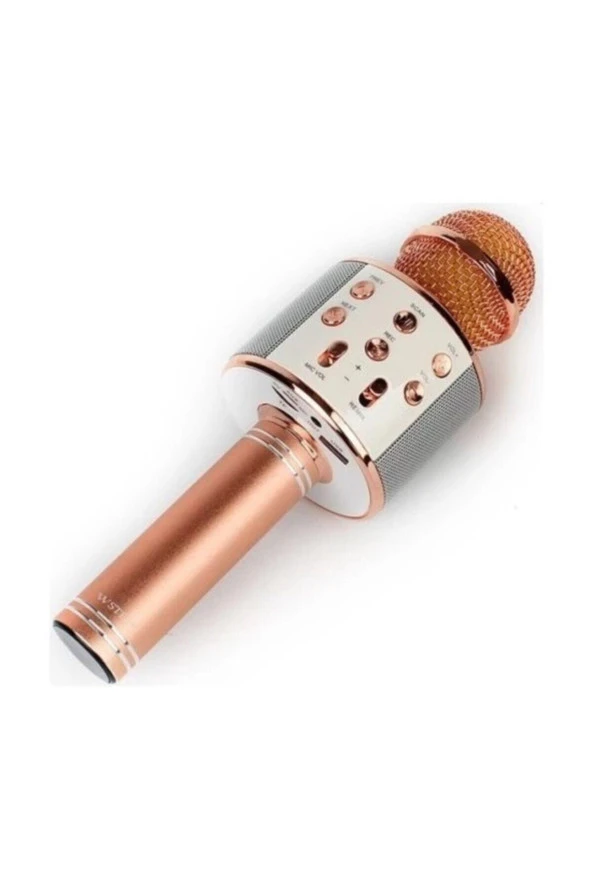 Ws-858 Karaoke Mikrofon - 1