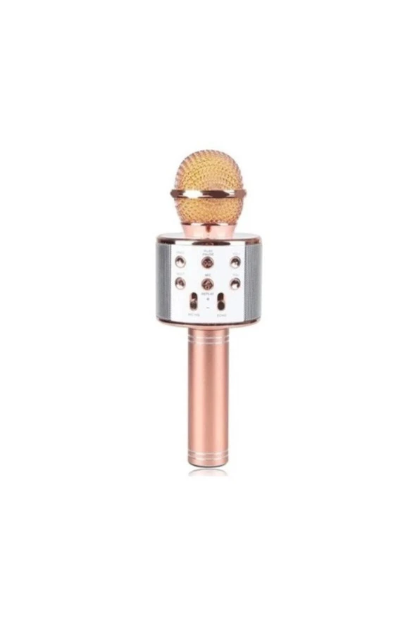 Ws-858 Karaoke Mikrofon - 2