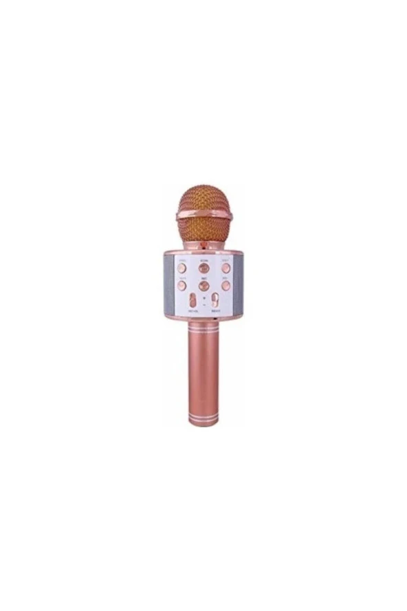 Ws-858 Karaoke Mikrofon - 3