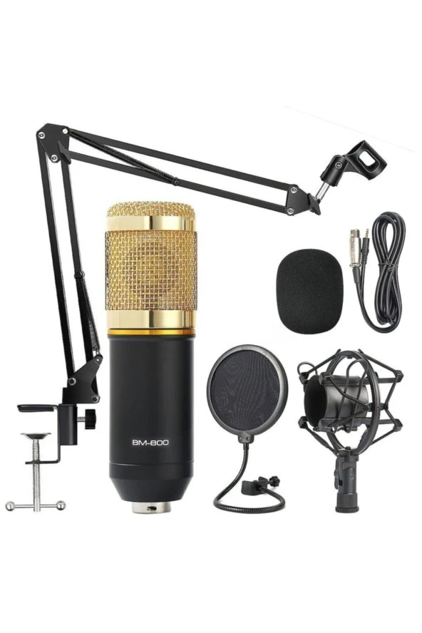 Bm800 Profesyonel Stüdyo Youtuber Kayıt Mikrofonu